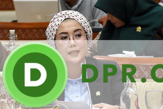 Selly Andriany Gantina, Anggota Komisi VIII DPR RI