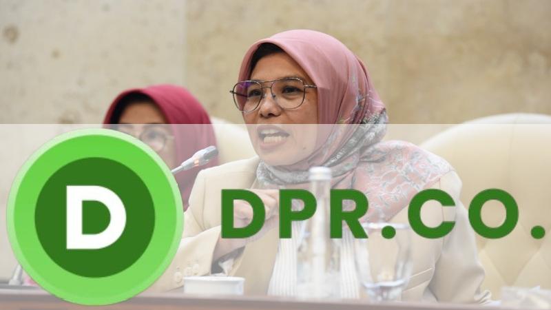 Neng Eem Marhamah Zulfa Hiz, Anggota Komisi IX DPR RI