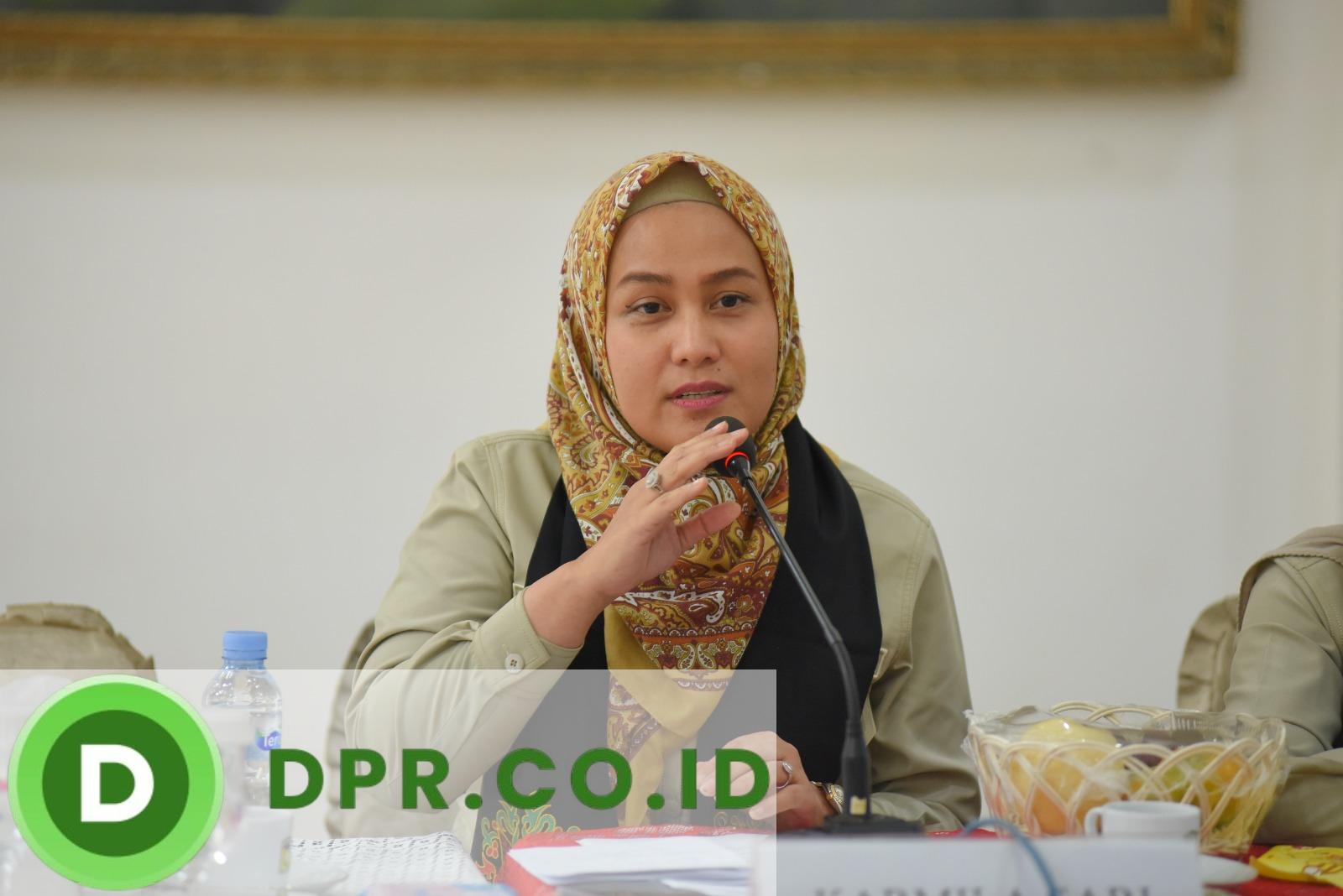 Anggota Badan Legislasi DPR RI, Karmila Sari